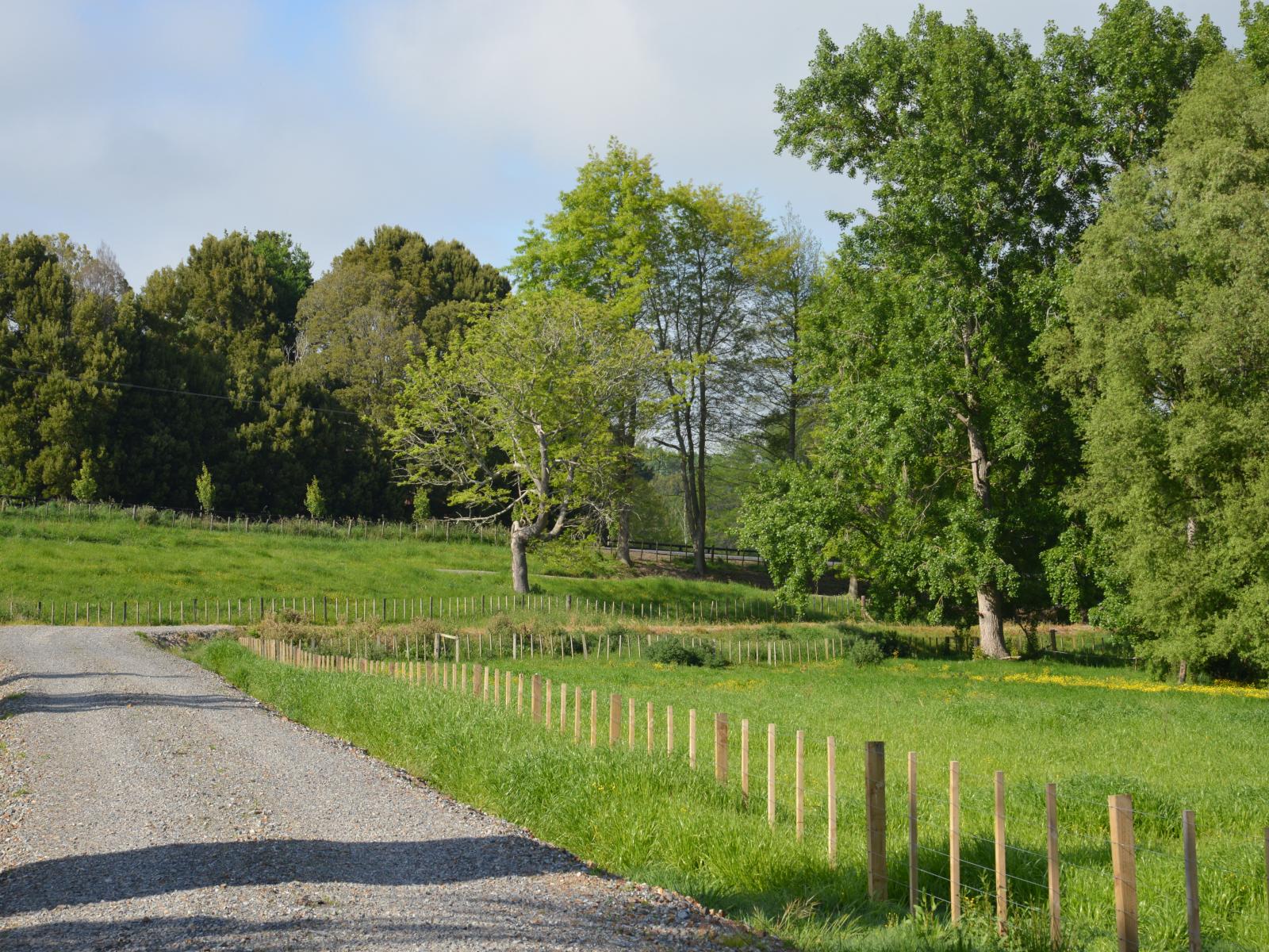 614 Whatawhata Road, Whatawhata 