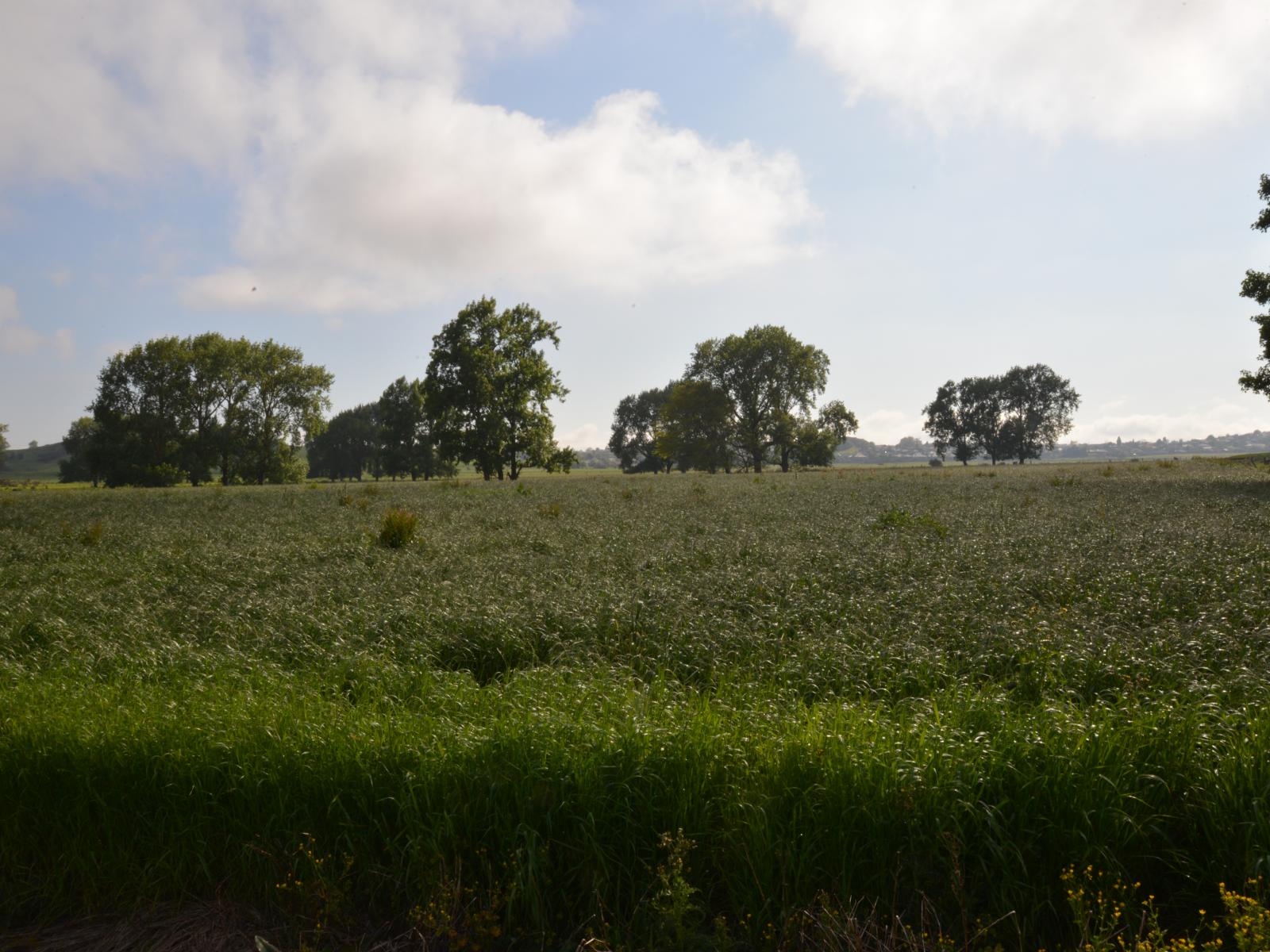 614 Whatawhata Road, Whatawhata 