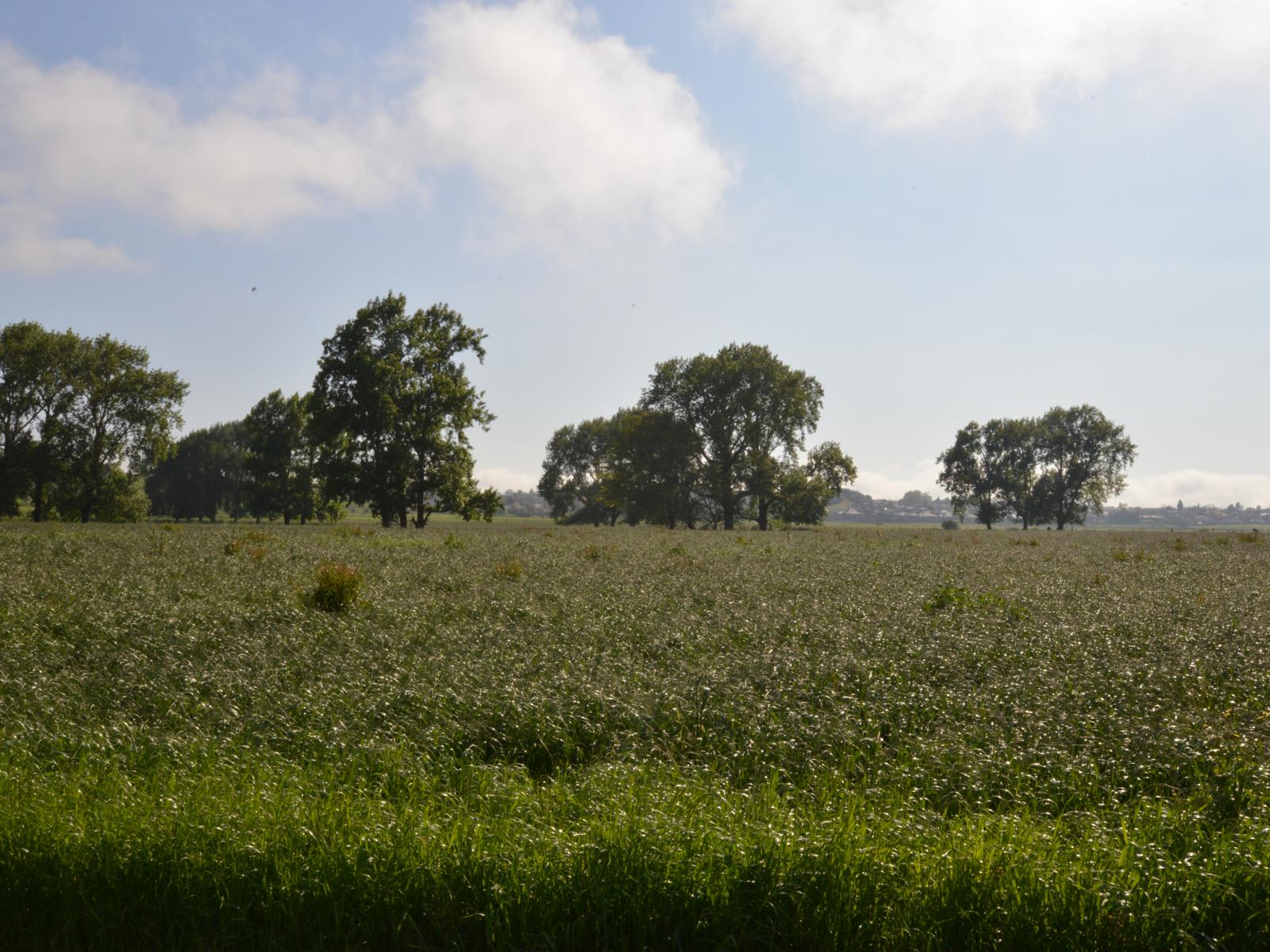 614 Whatawhata Road, Whatawhata 