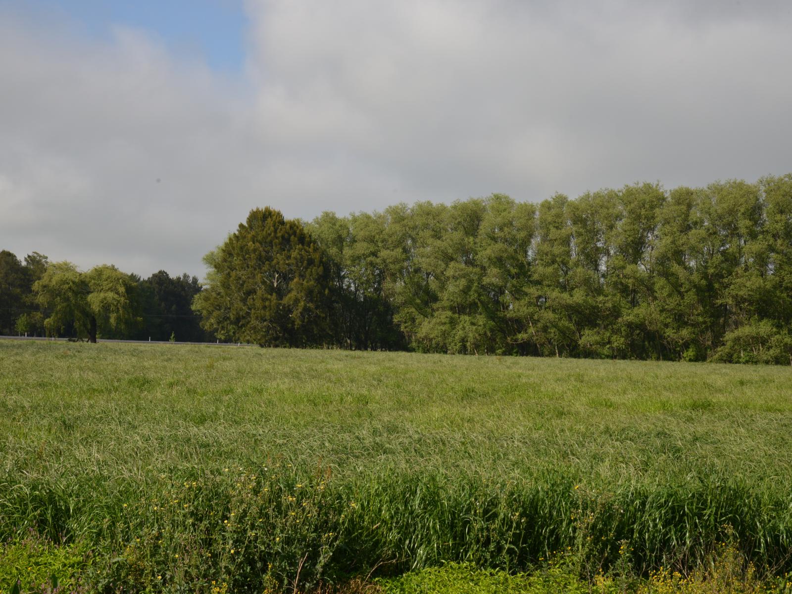 614 Whatawhata Road, Whatawhata 