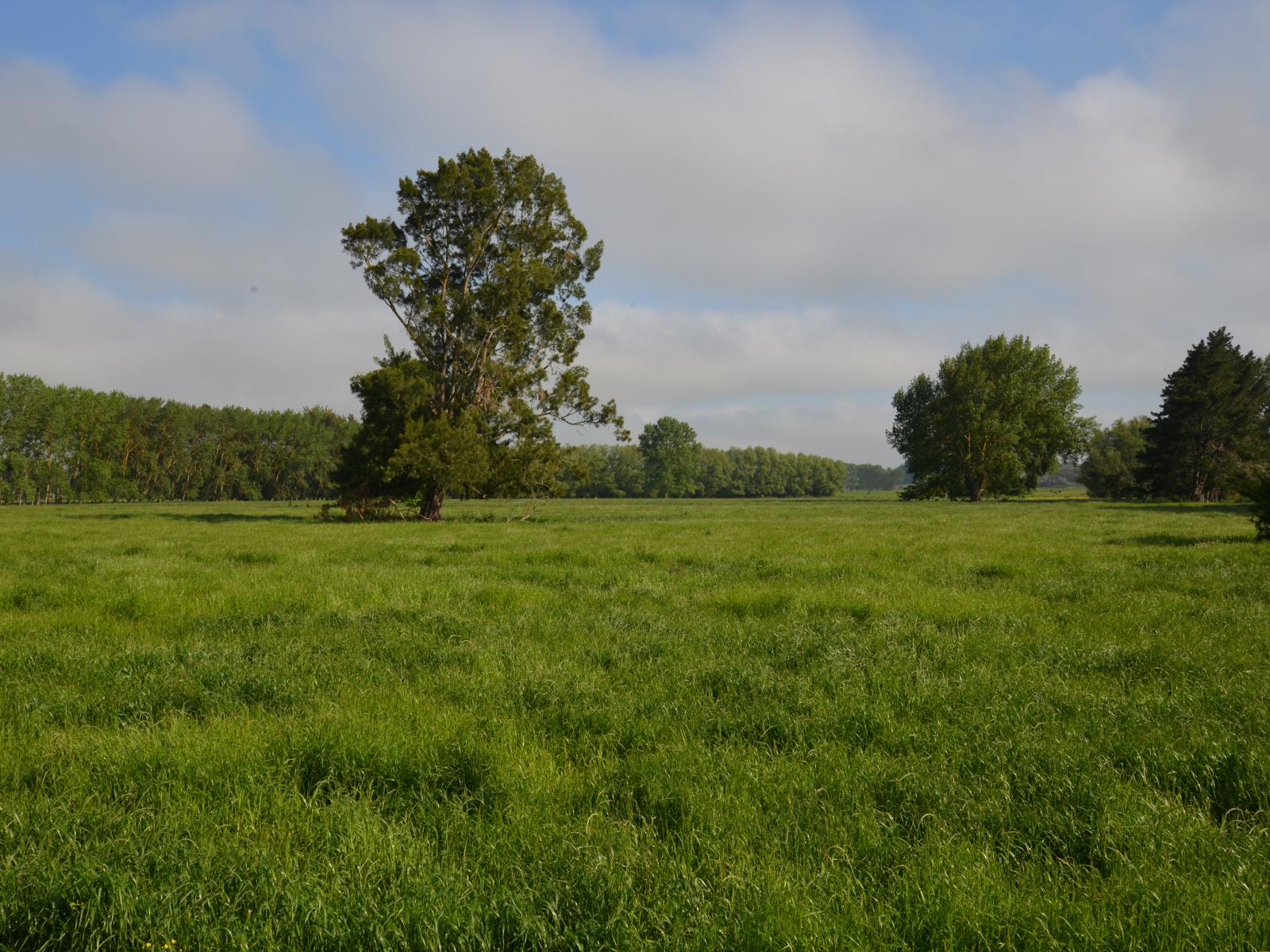 614 Whatawhata Road, Whatawhata 