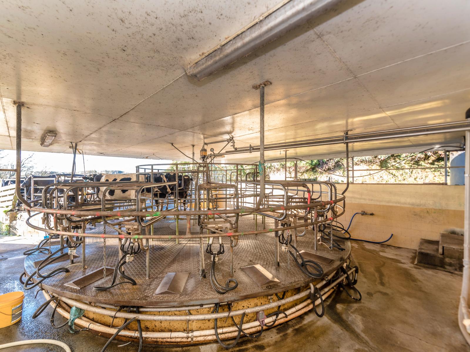 614 Whatawhata Road, Whatawhata 