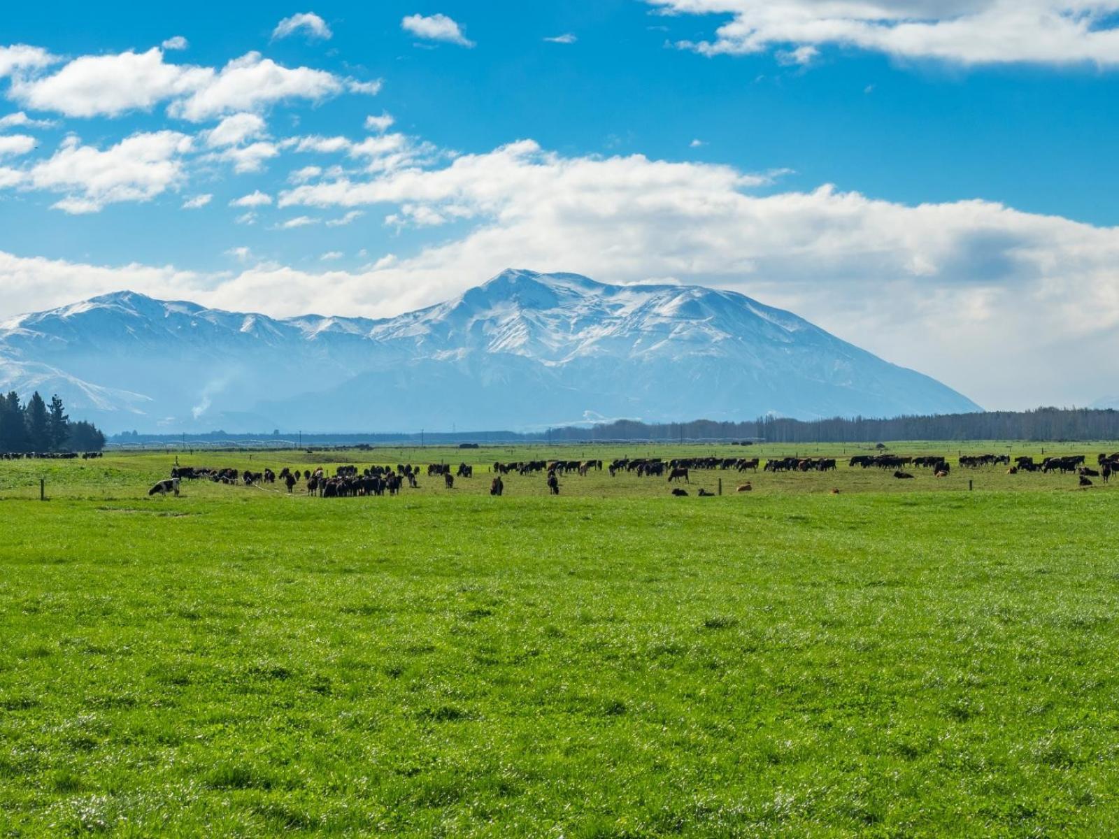 2058 Ashburton Staveley Road, Ashburton