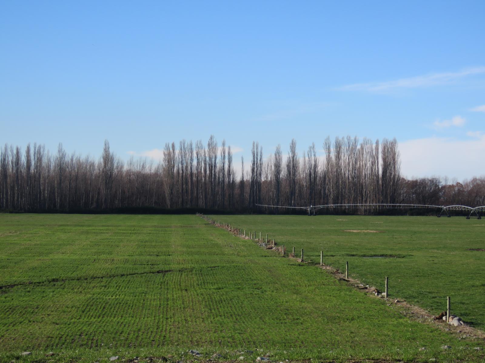 2058 Ashburton Staveley Road, Ashburton