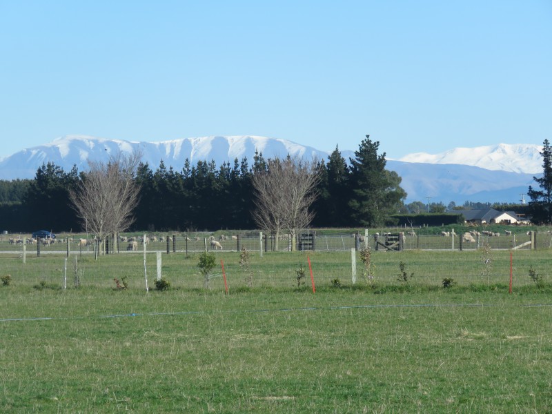 38 Winslow Willowby Road, Winslow