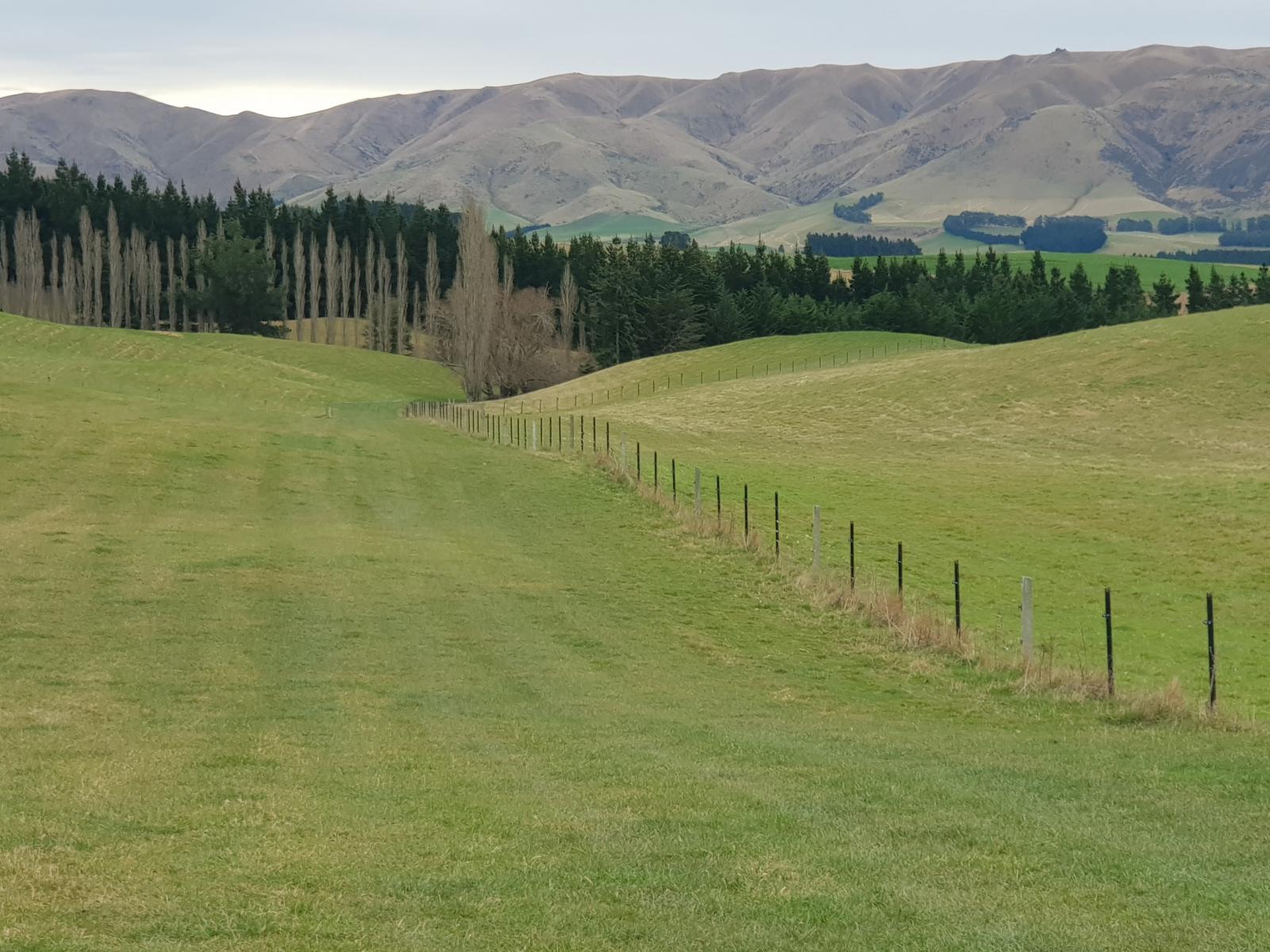 313 Tara Hill Road, Waimate