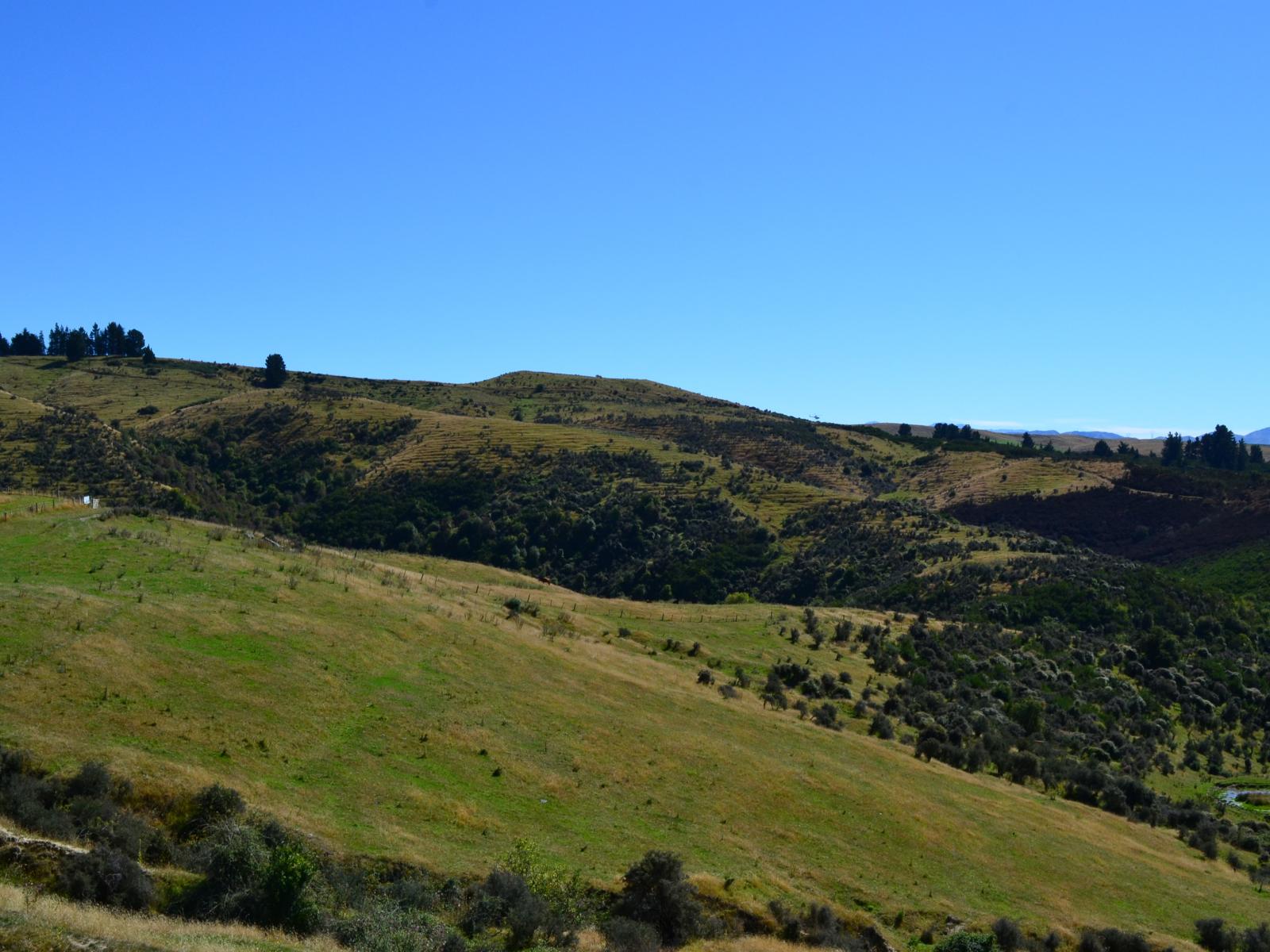86 West-Maerewhenua Road, Oamaru