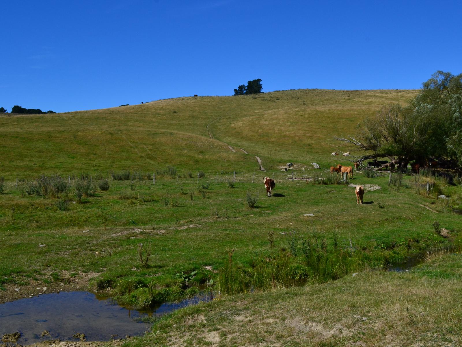 86 West-Maerewhenua Road, Oamaru