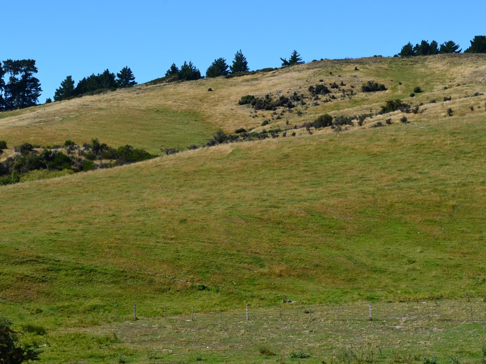 86 West-Maerewhenua Road, Oamaru