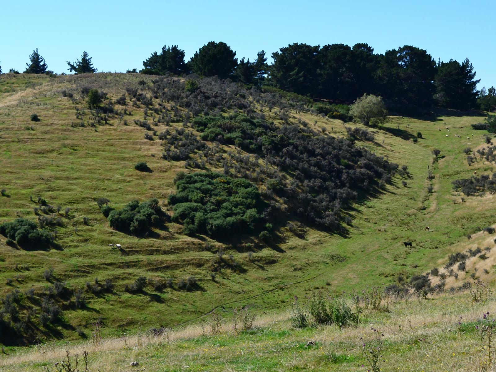 86 West-Maerewhenua Road, Oamaru