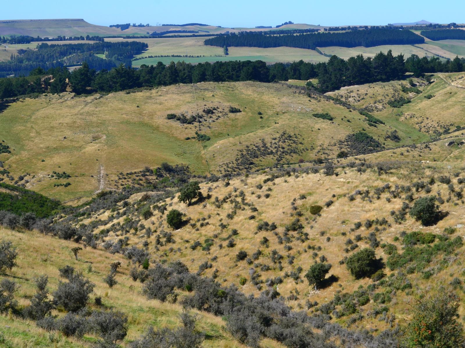 86 West-Maerewhenua Road, Oamaru