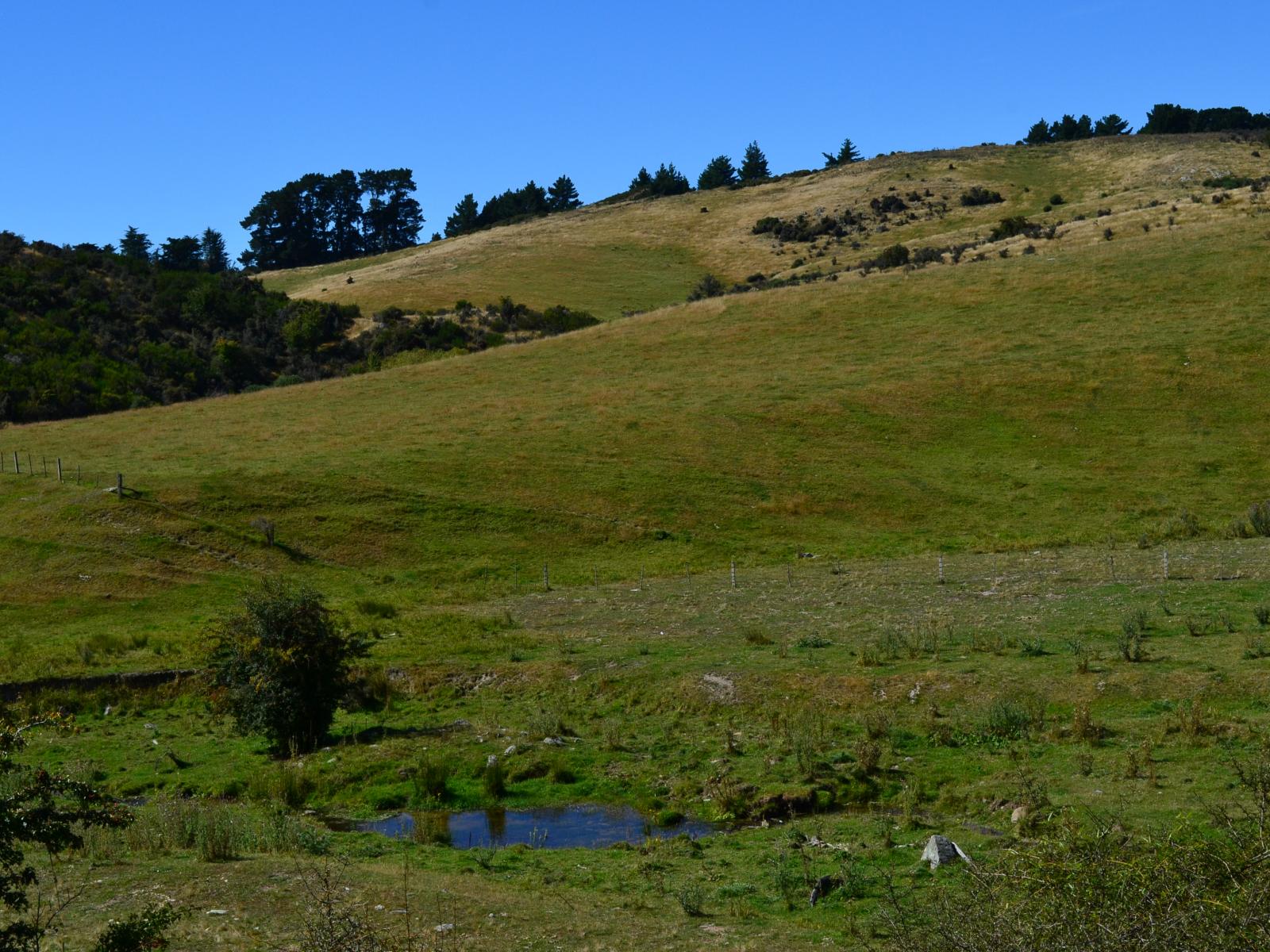 86 West-Maerewhenua Road, Oamaru