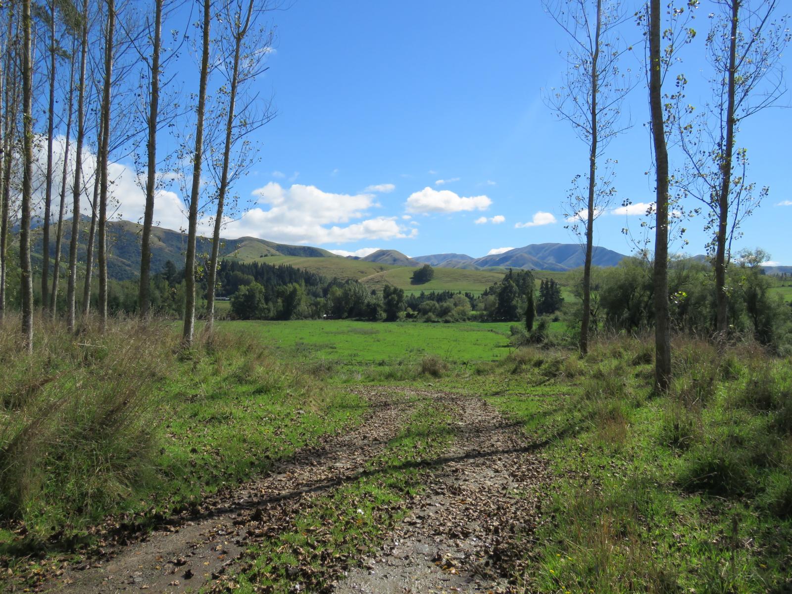 Lot 2, 1130 Te Moana Road, Geraldine