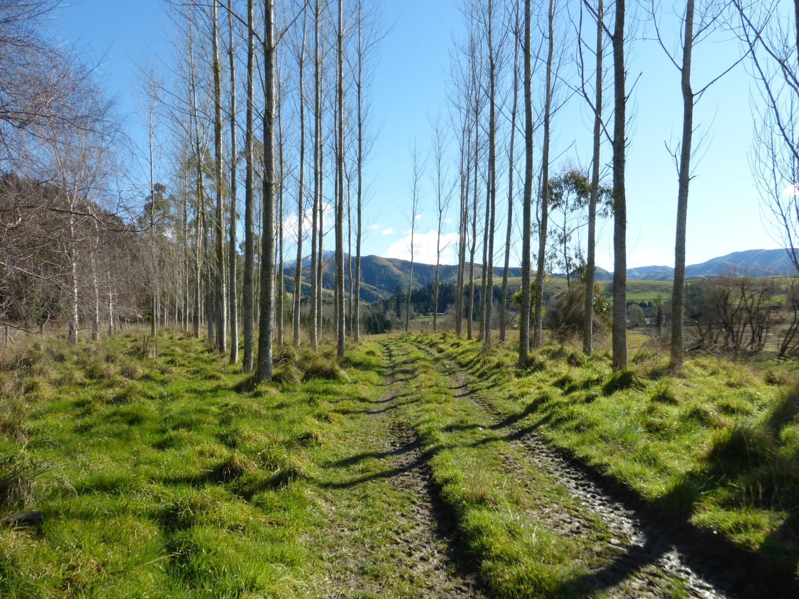 Lot 2, 1130 Te Moana Road, Geraldine