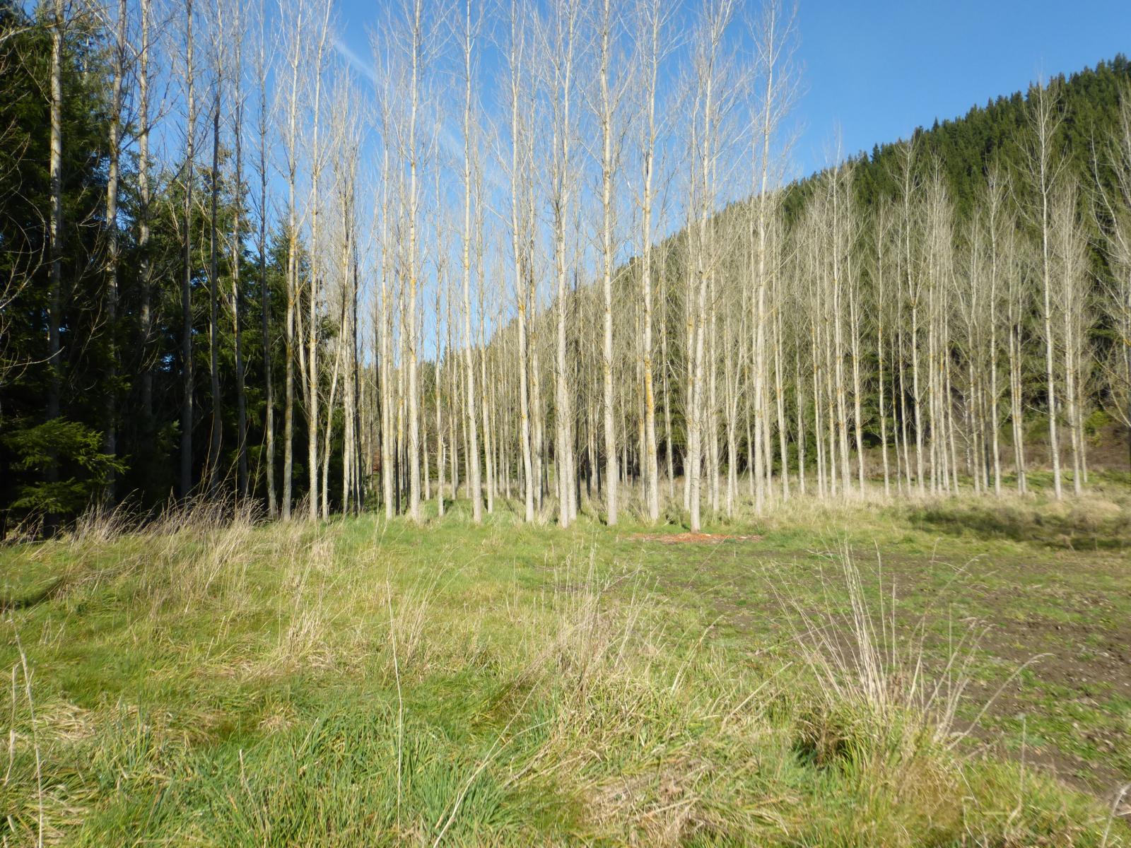 Lot 2, 1130 Te Moana Road, Geraldine