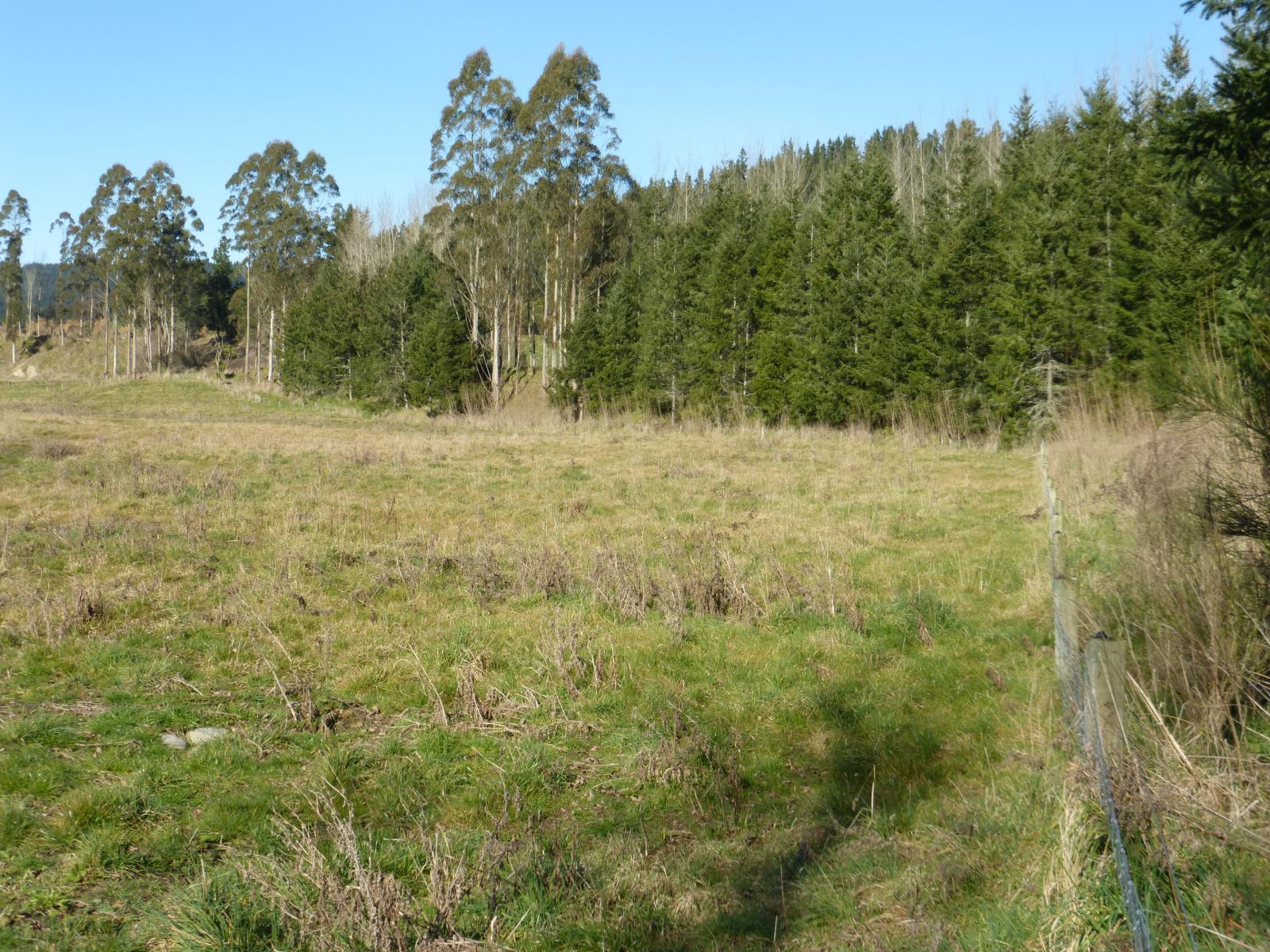 Lot 2, 1130 Te Moana Road, Geraldine