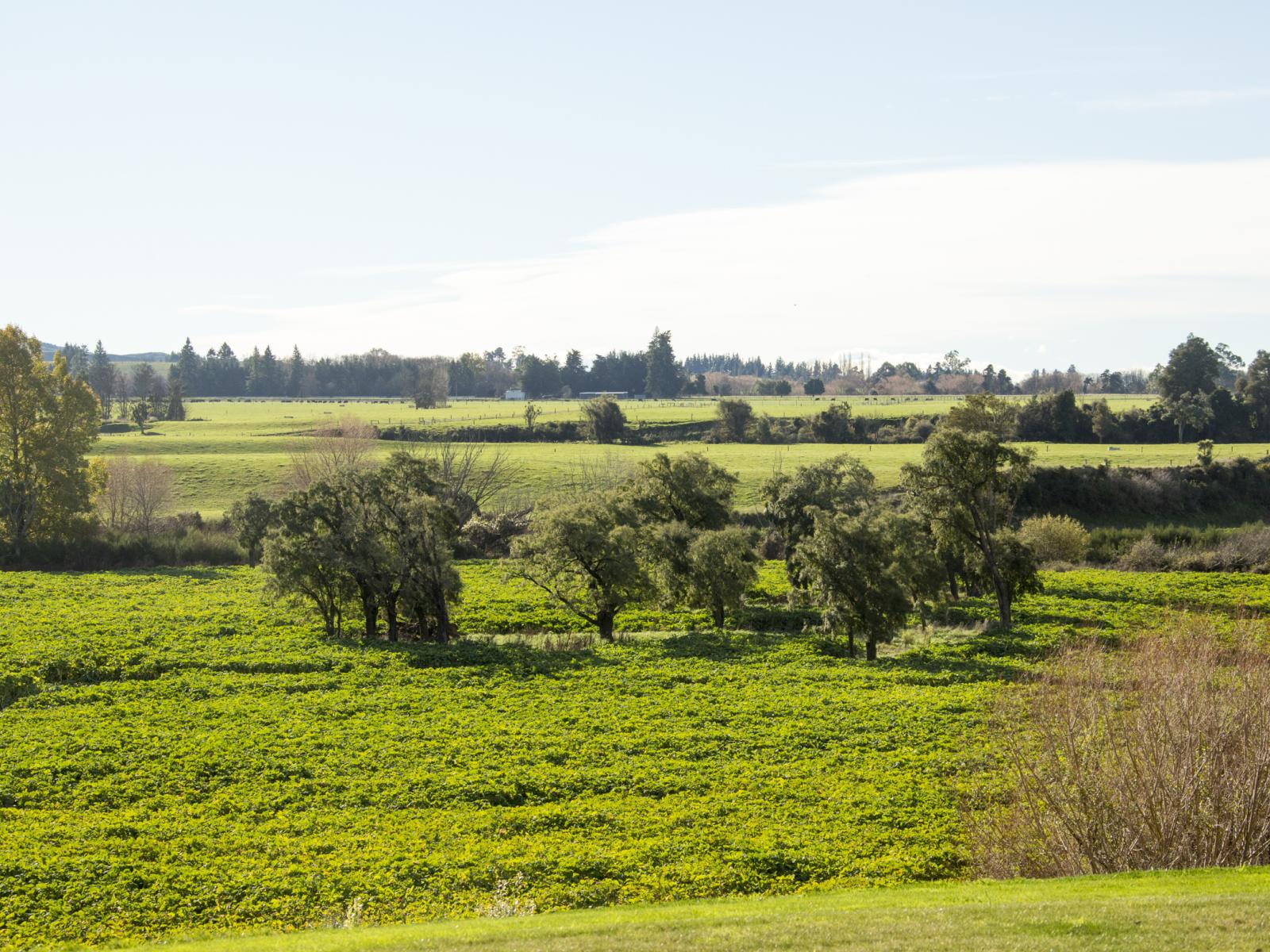 1130 Te Moana Road, Geraldine