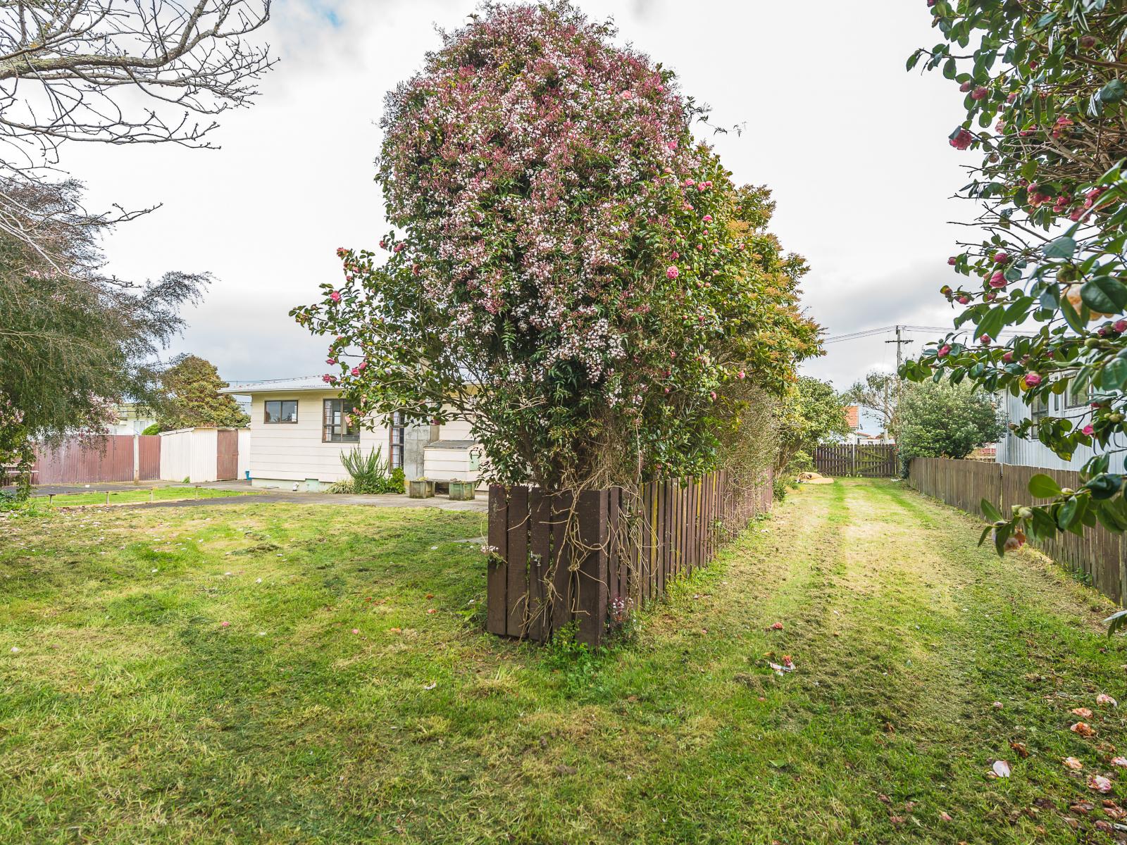 18 and 18A Wilson Street, Waverley