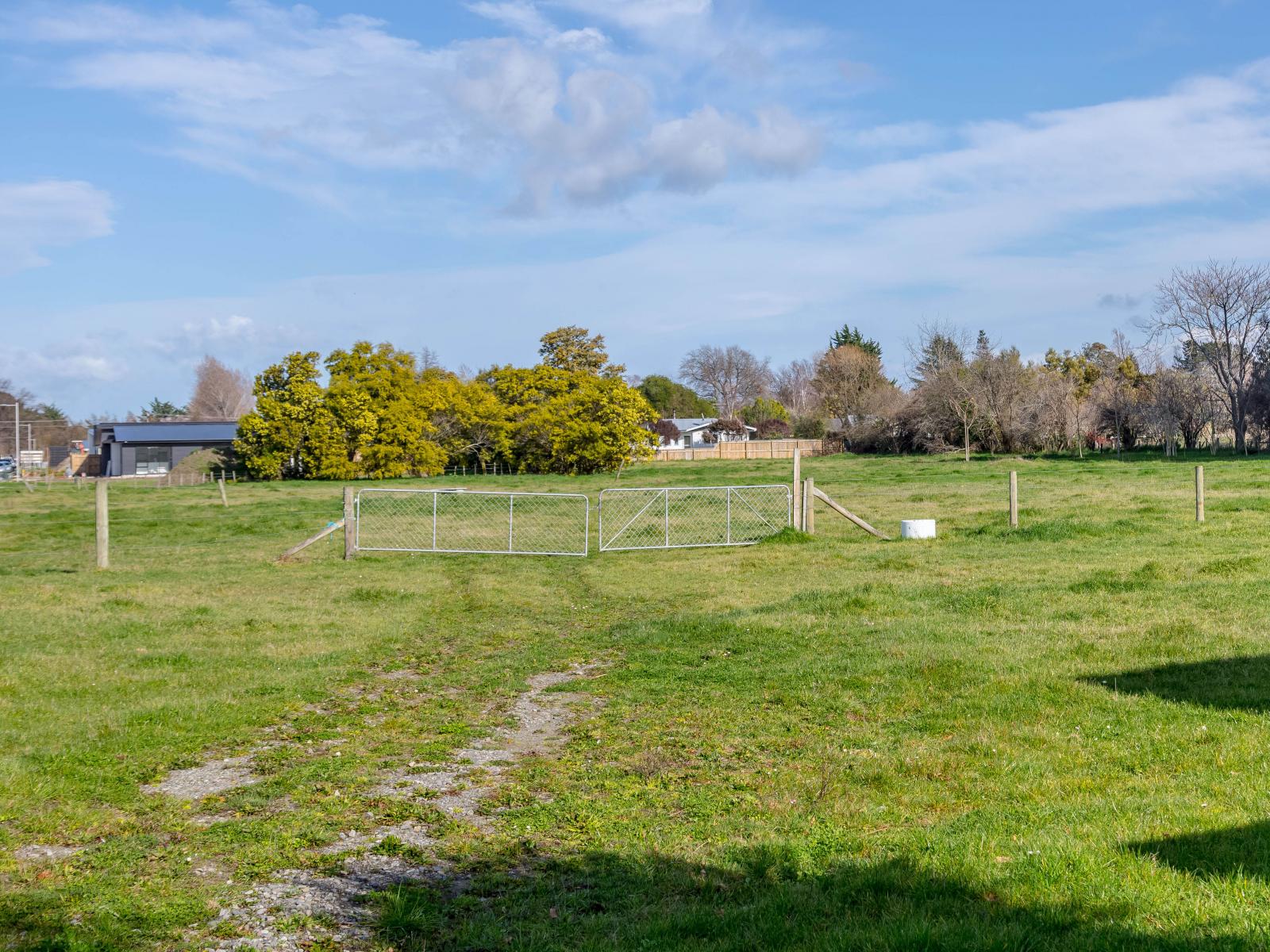 12 Seddon Street , Masterton
