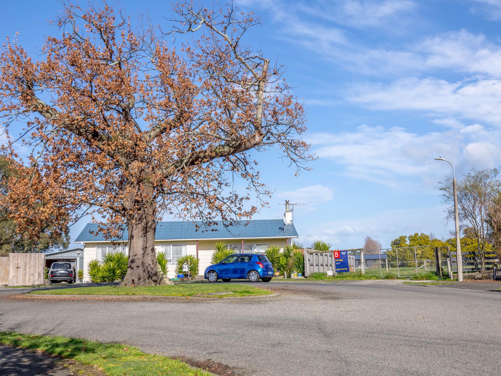 12 Seddon Street , Masterton