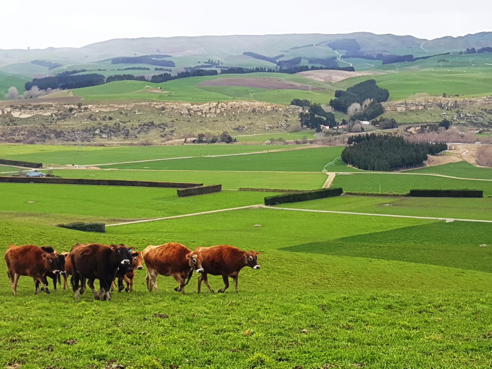 860 Hakataramea Highway, Waimate