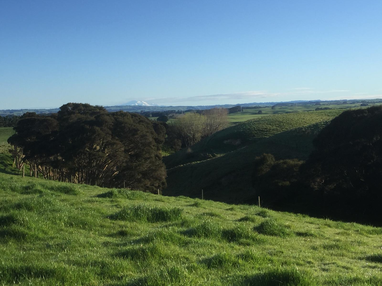 Lot 3, Mt Biggs Road, Halcombe