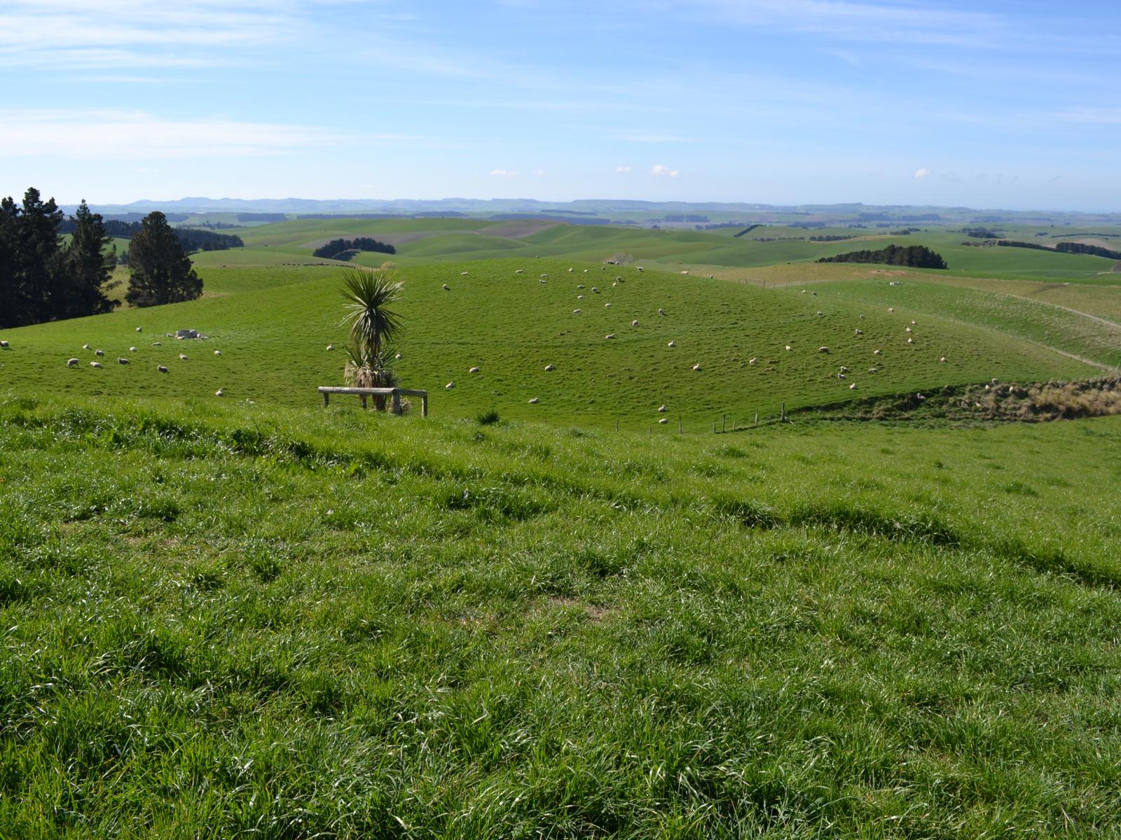 665 Dunrobin Road, Five Forks