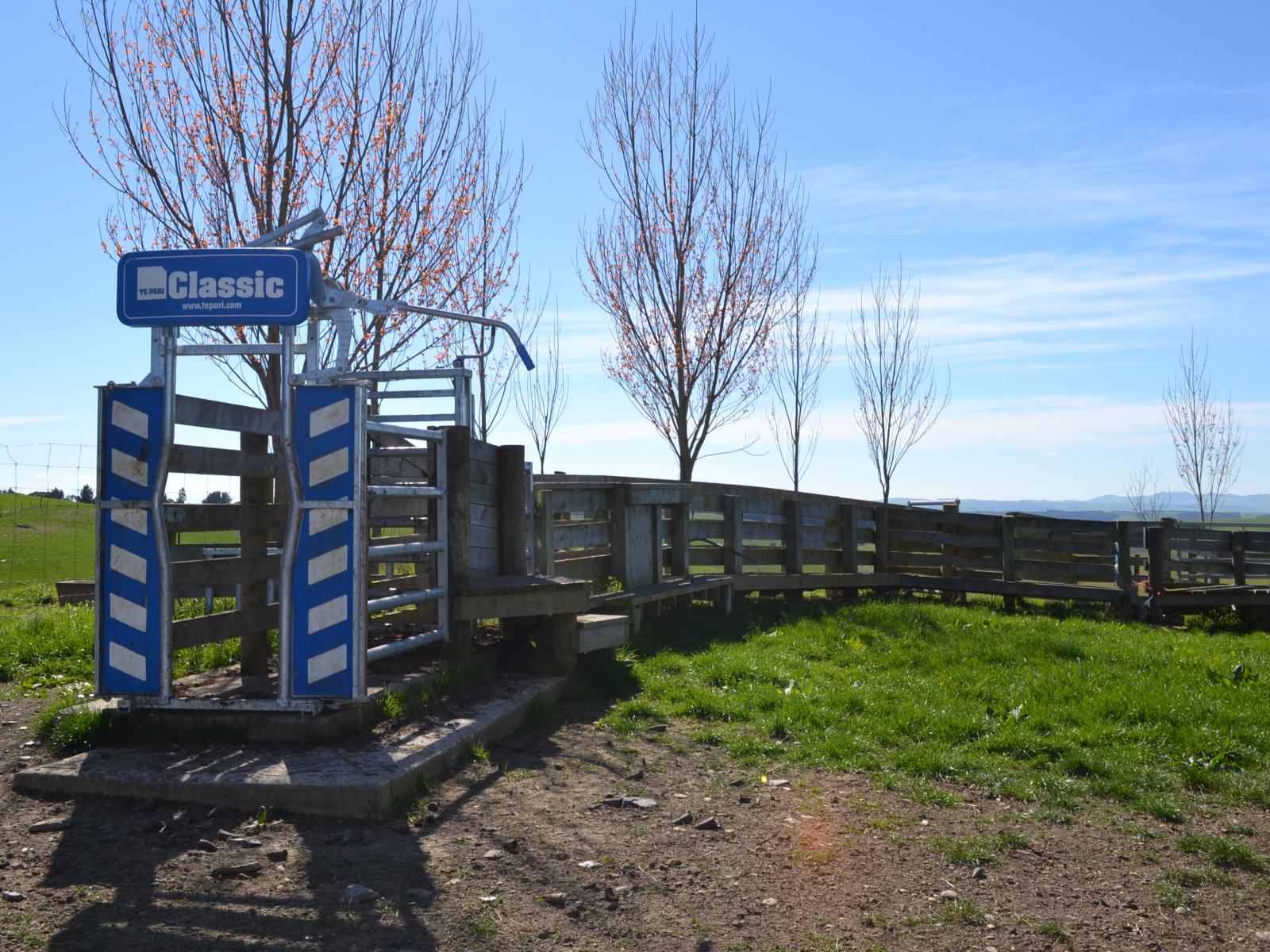 665 Dunrobin Road, Five Forks