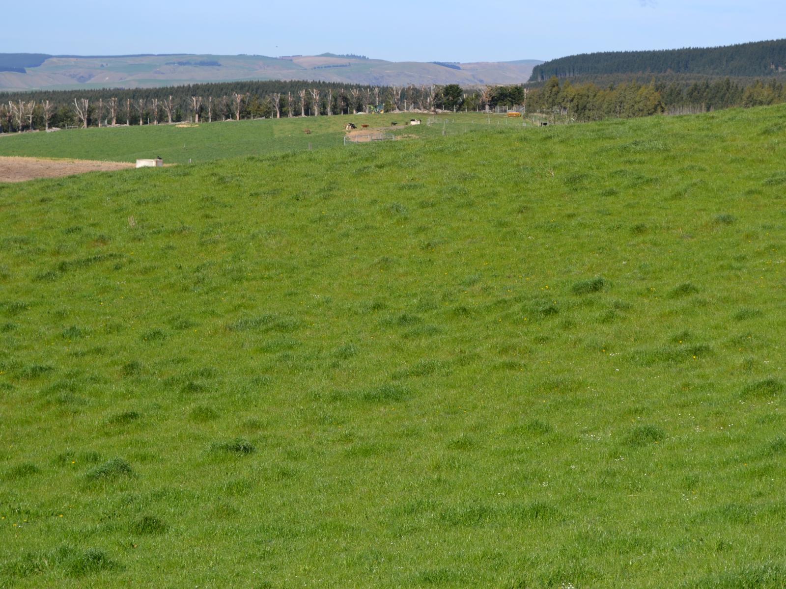 665 Dunrobin Road, Five Forks