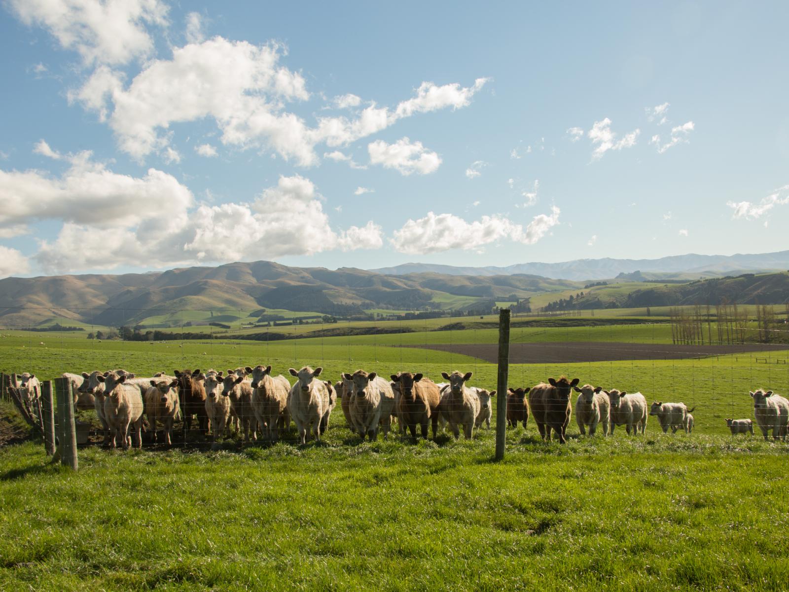 171 Monavale Road, Albury