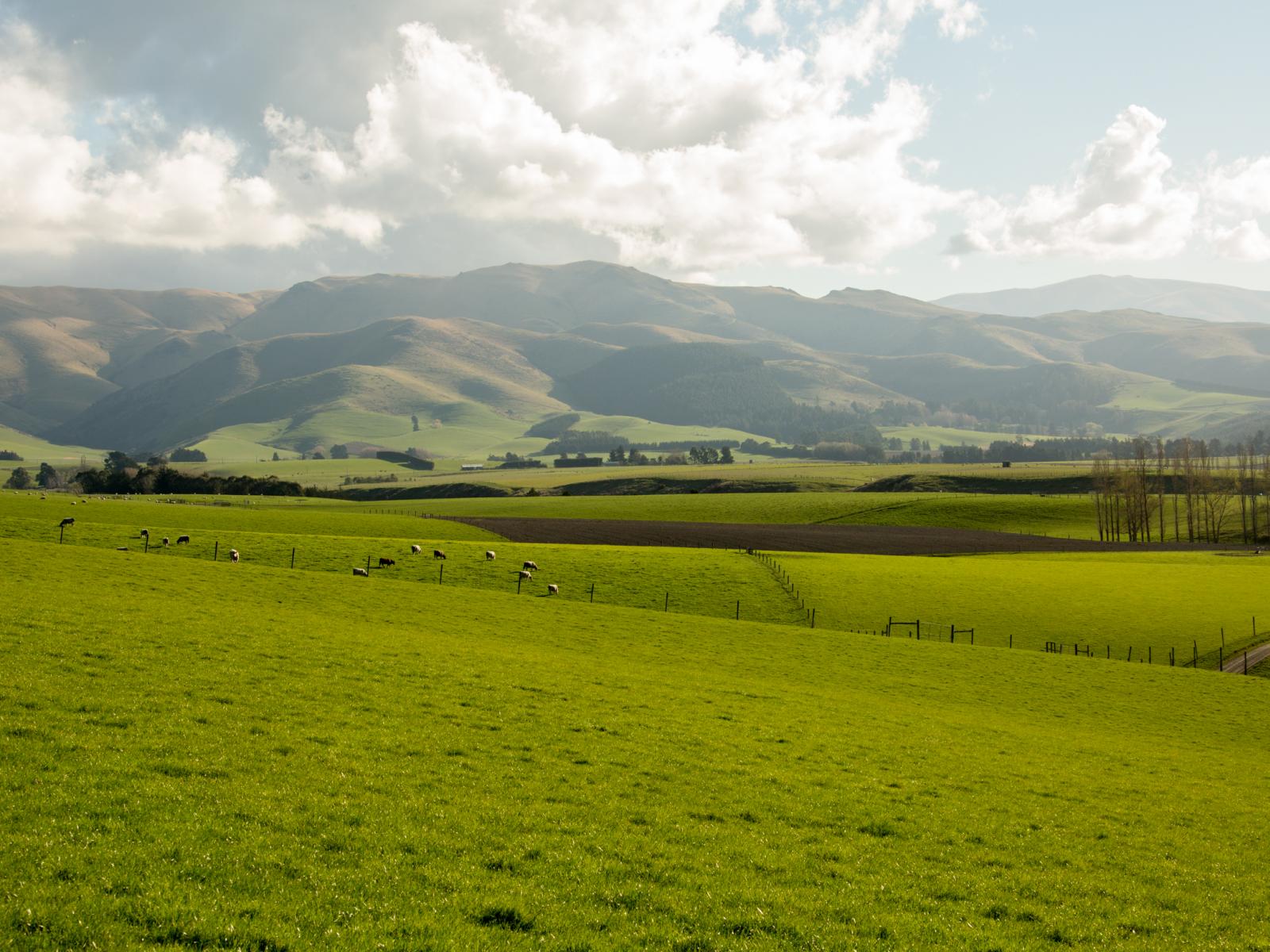 171 Monavale Road, Albury