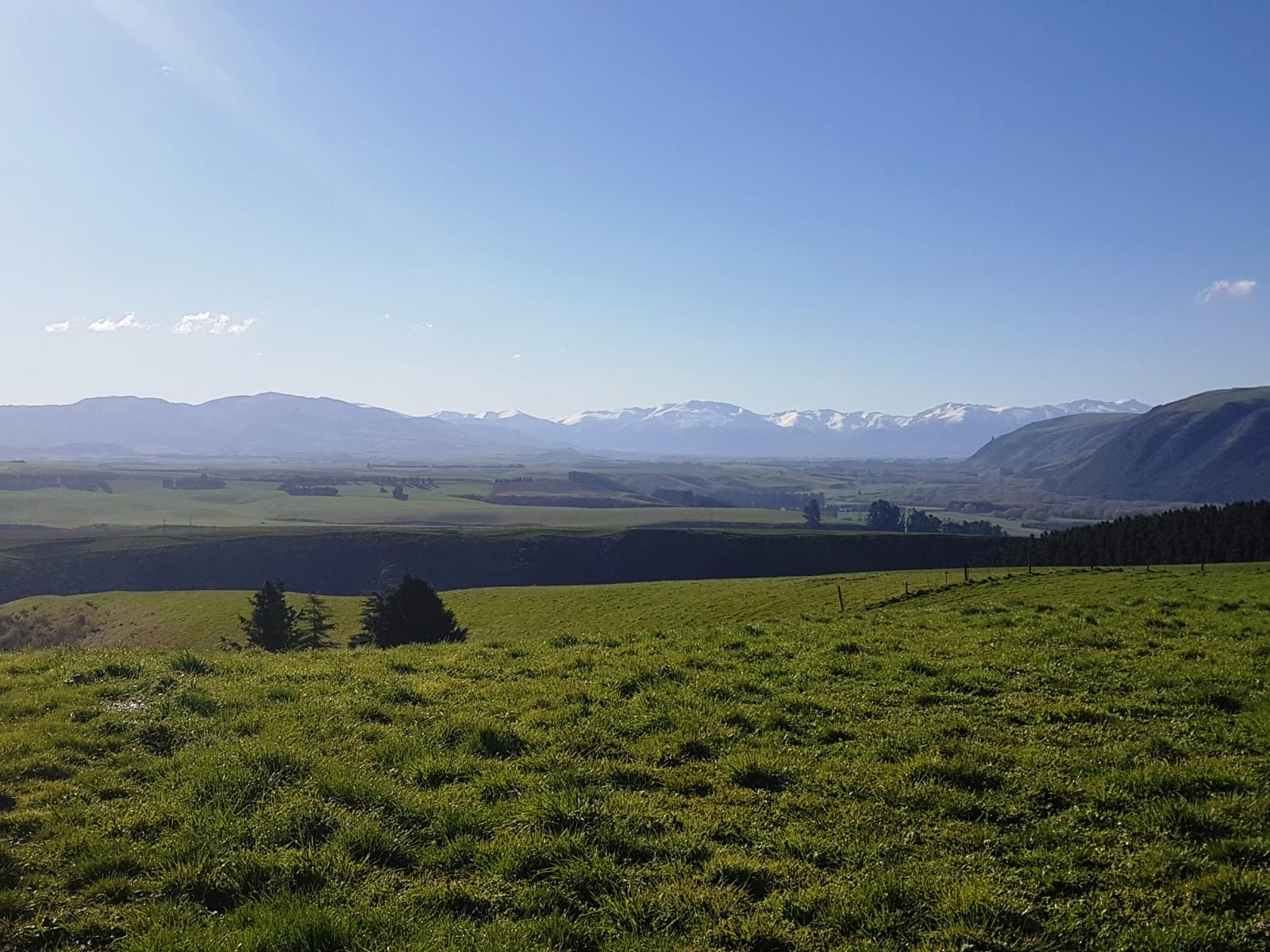 91 Nelsons Road, Albury