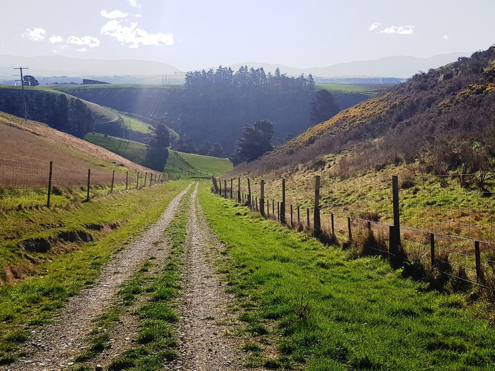 91 Nelsons Road, Albury
