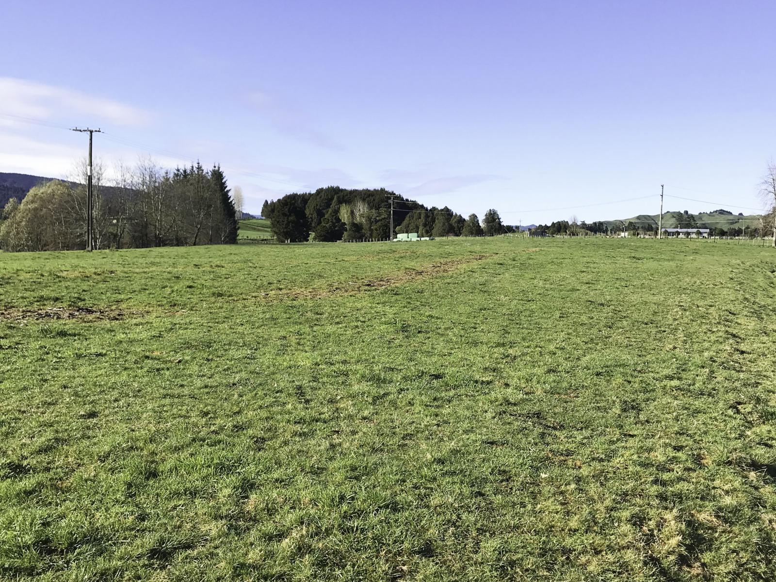 15 Hammond Place, Owhango