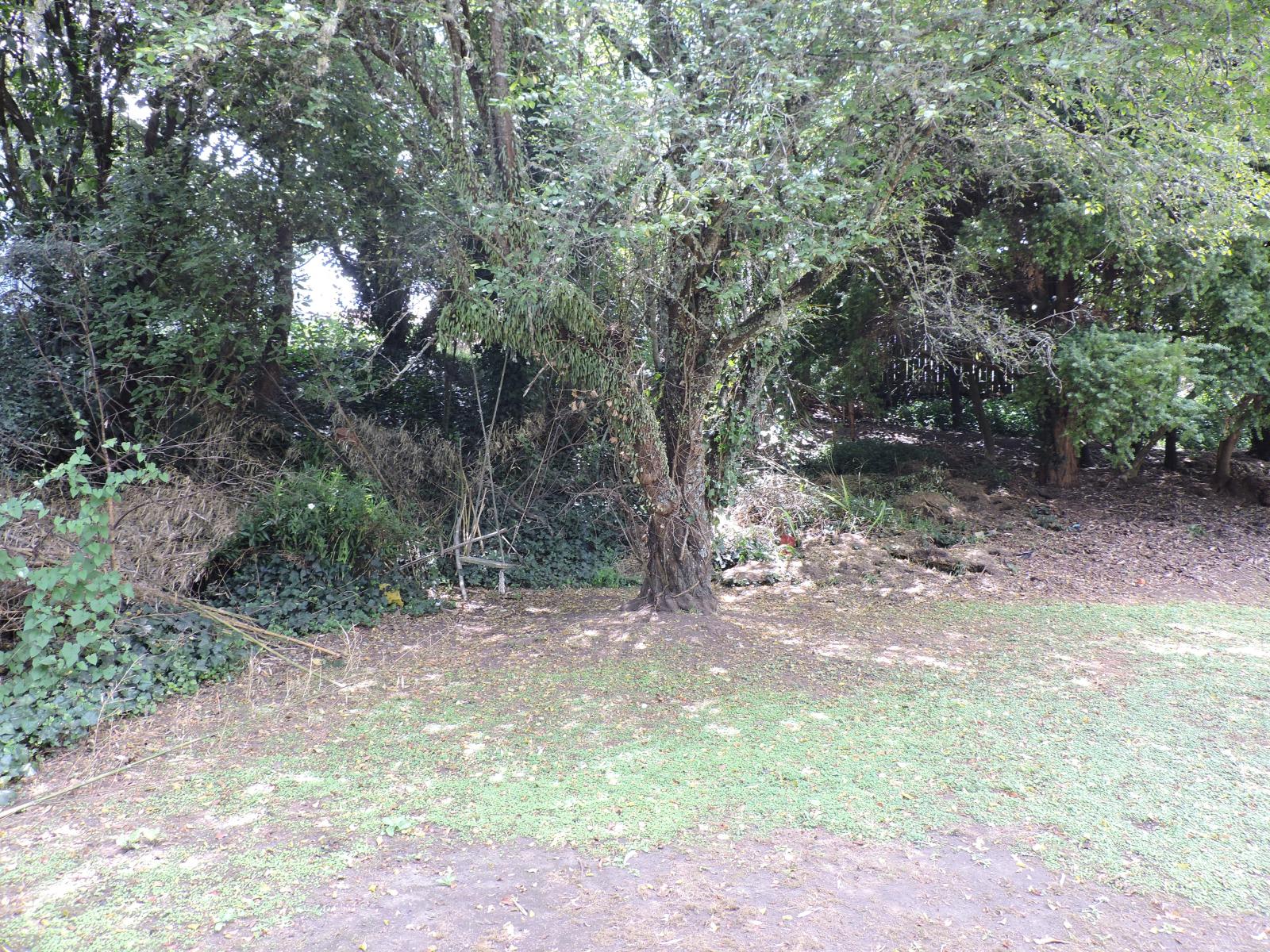 132B Heuheu Street, Taupo