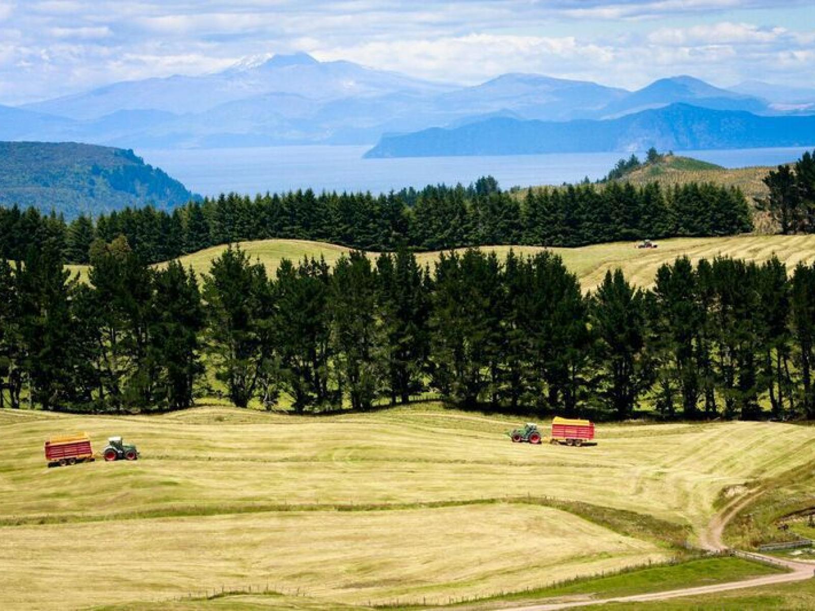 1549 Poihipi Road, Oruanui