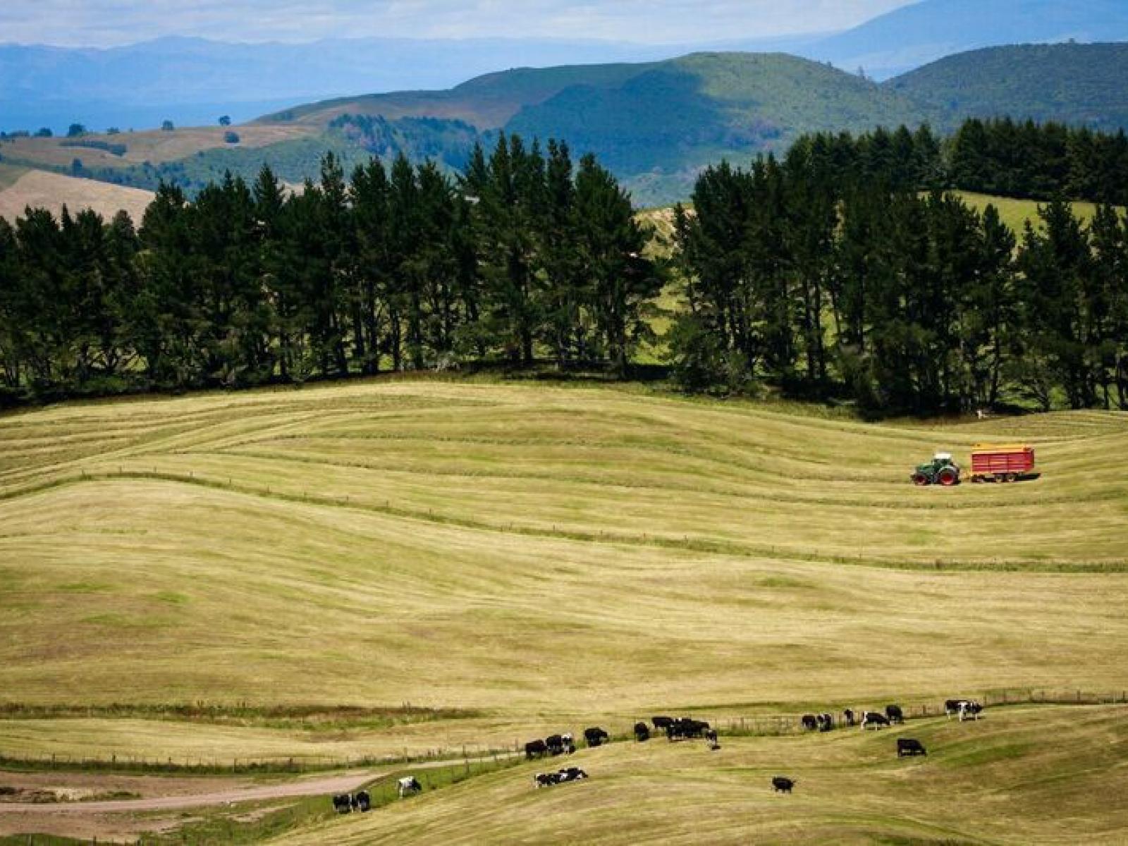 1549 Poihipi Road, Oruanui