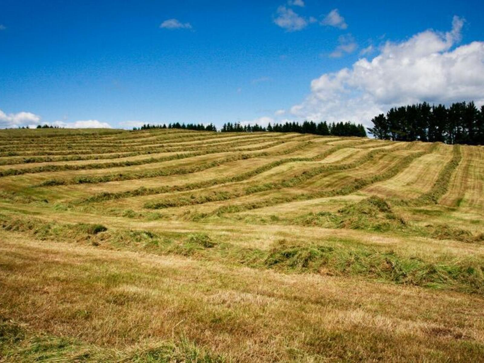 1549 Poihipi Road, Oruanui