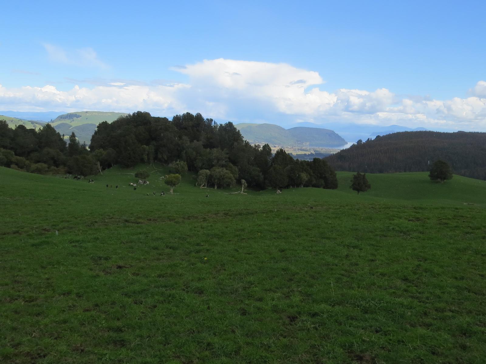 1549 Poihipi Road, Oruanui