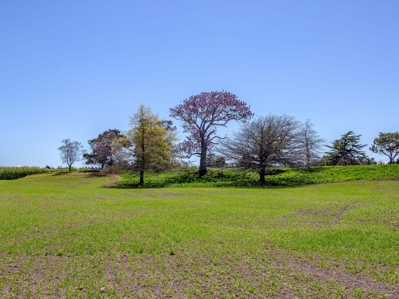 2, Te Whiti Road, Masterton