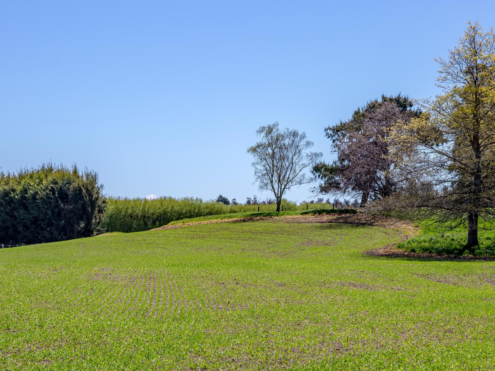 2, Te Whiti Road, Masterton