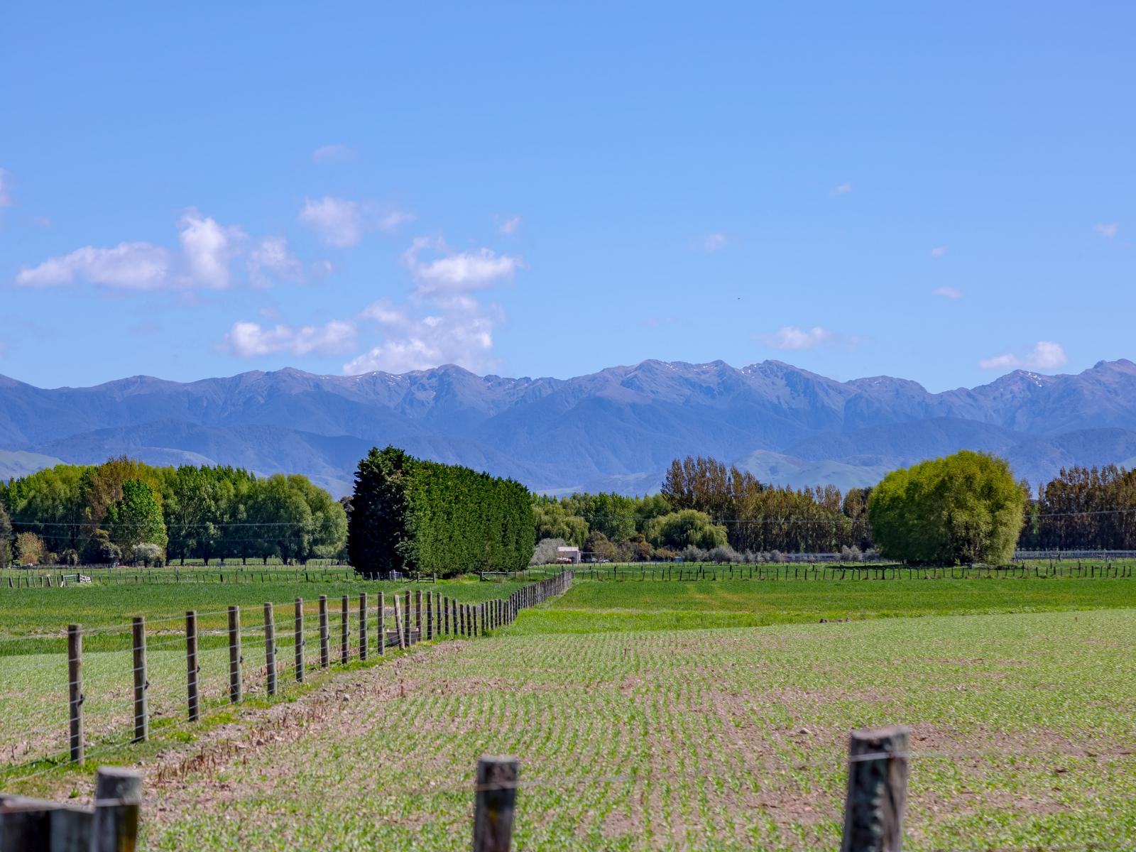2, Te Whiti Road, Masterton