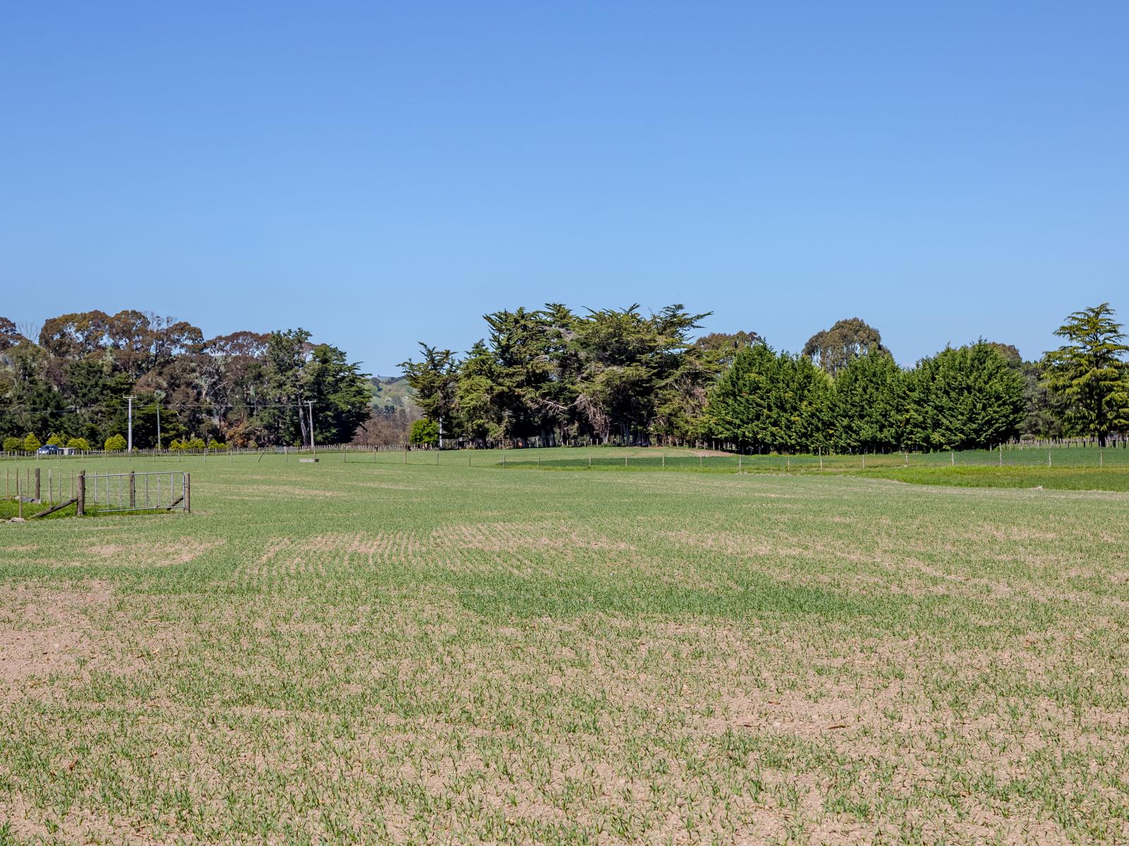 2, Te Whiti Road, Masterton