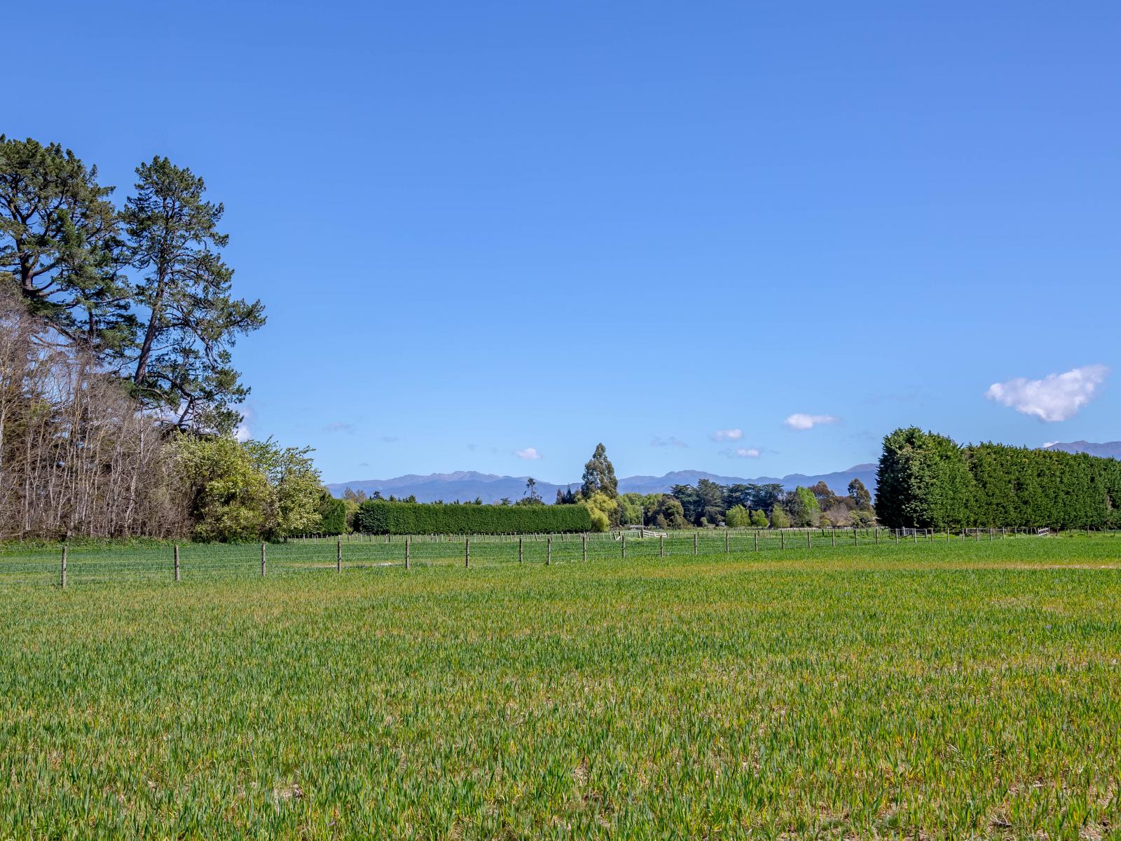 2, Te Whiti Road, Masterton