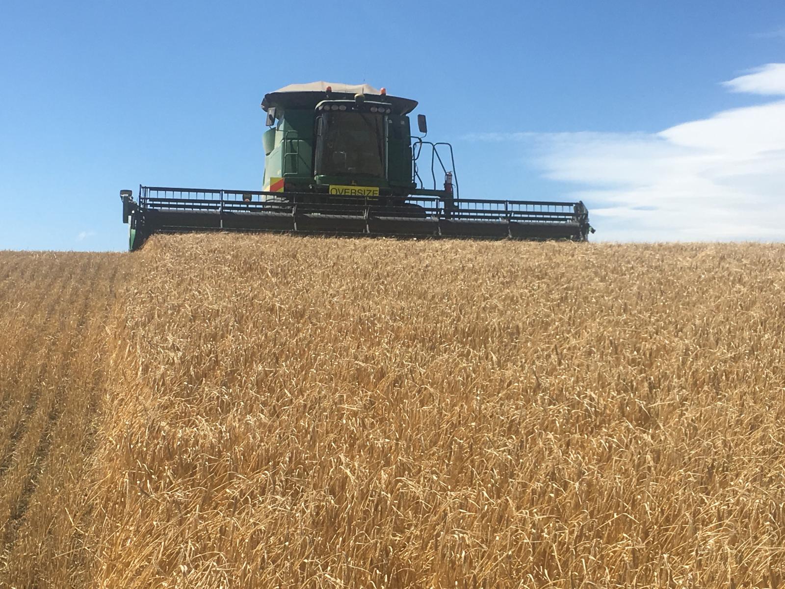 15 Osbournes Road, Hororata