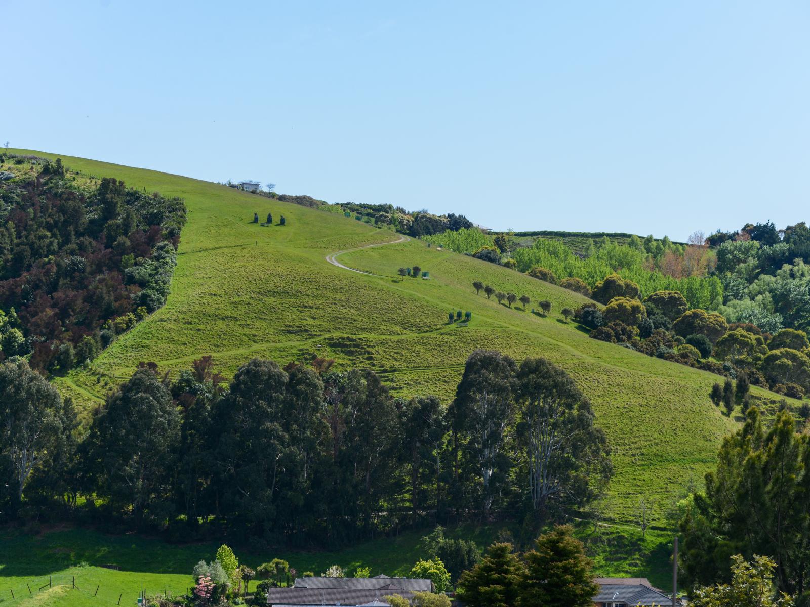 56 Churchill Drive, Taradale