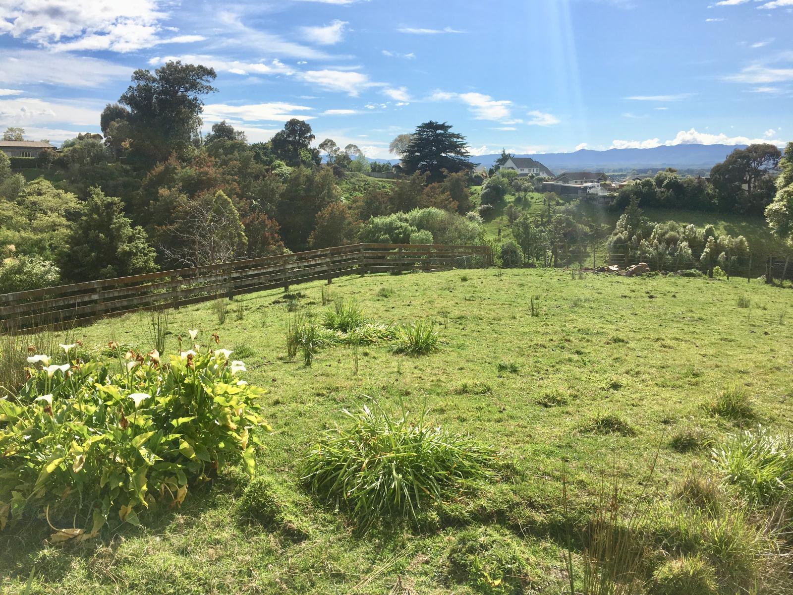 6 Carnmore Court, Feilding