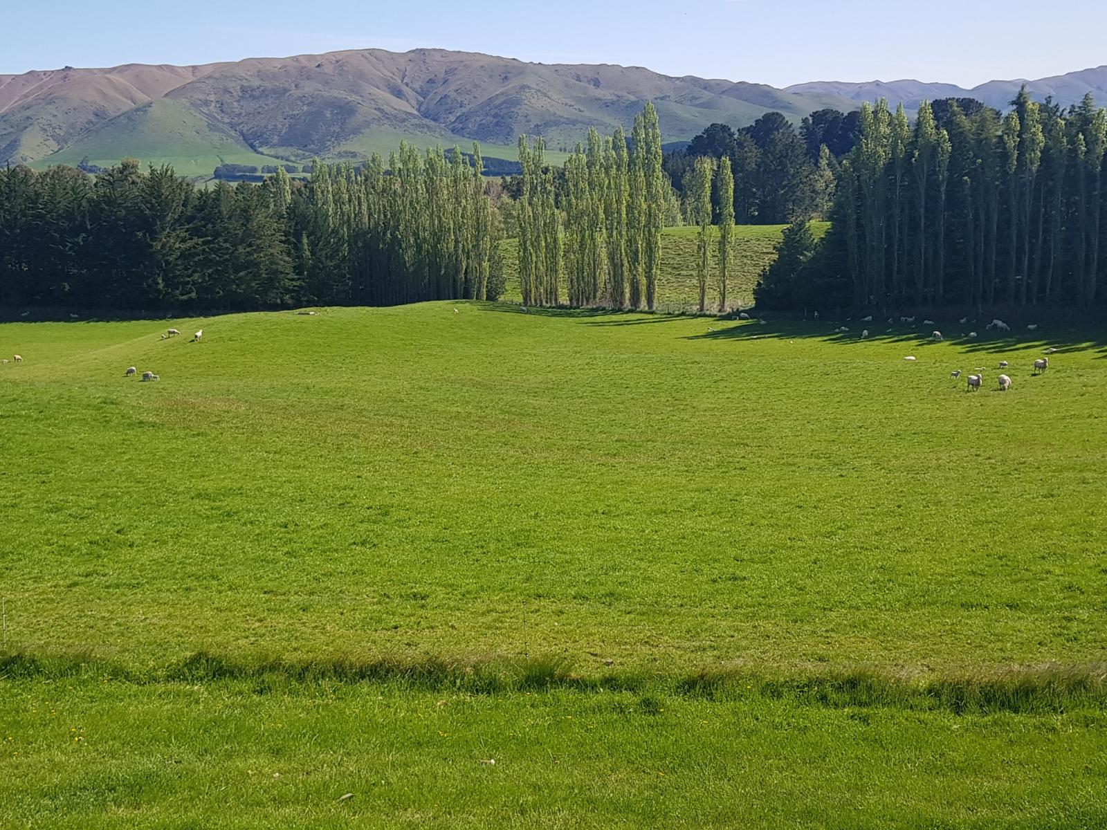 958 Waihaorunga Back Road, Waimate