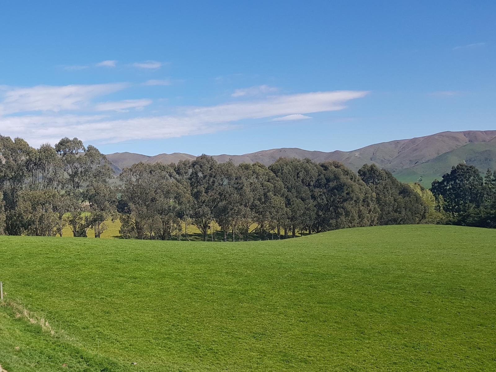 958 Waihaorunga Back Road, Waimate