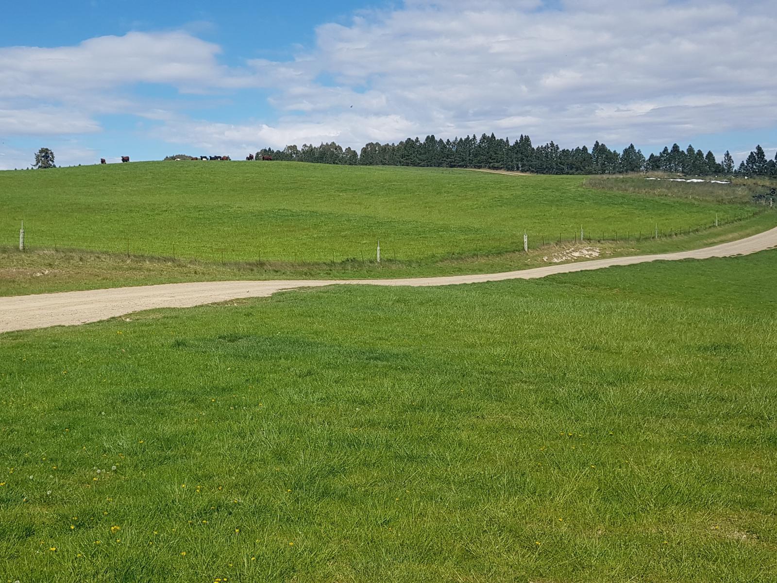 958 Waihaorunga Back Road, Waimate
